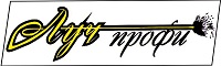 Луч-профи