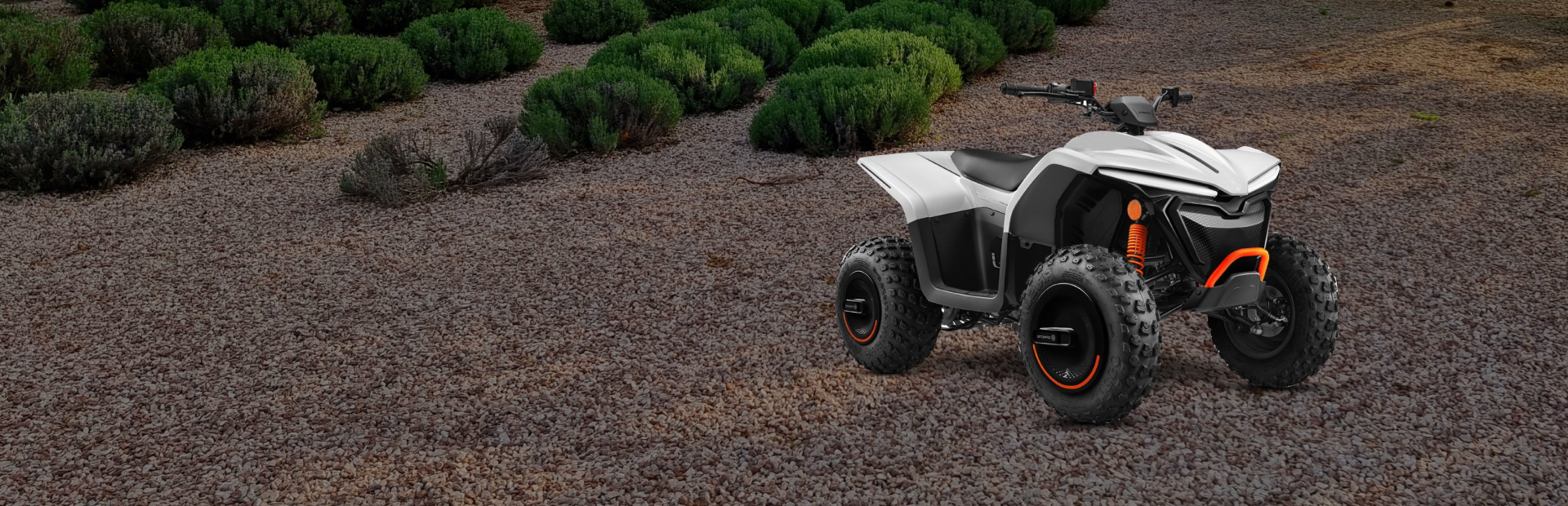 Ремонт электроквадроциклов