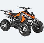 Ремонт квадроциклів