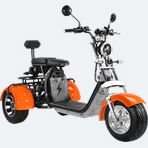 Ремонт електротрициклів